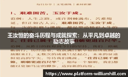 王汝恒的奋斗历程与成就探索:从平凡到卓越的励志故事